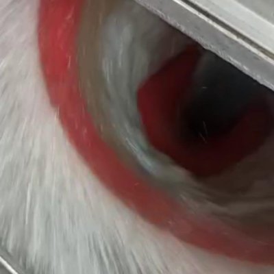 SEM Centrifuge Concentrator