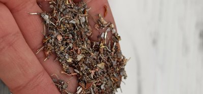 Elektronik Atık Ayrıştırma Tesisi