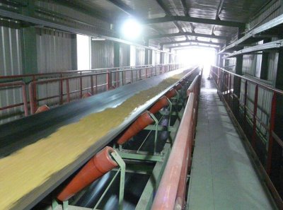 Conveyor Belt