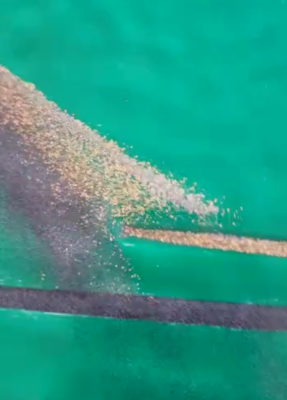 Gold Enrichment Plant